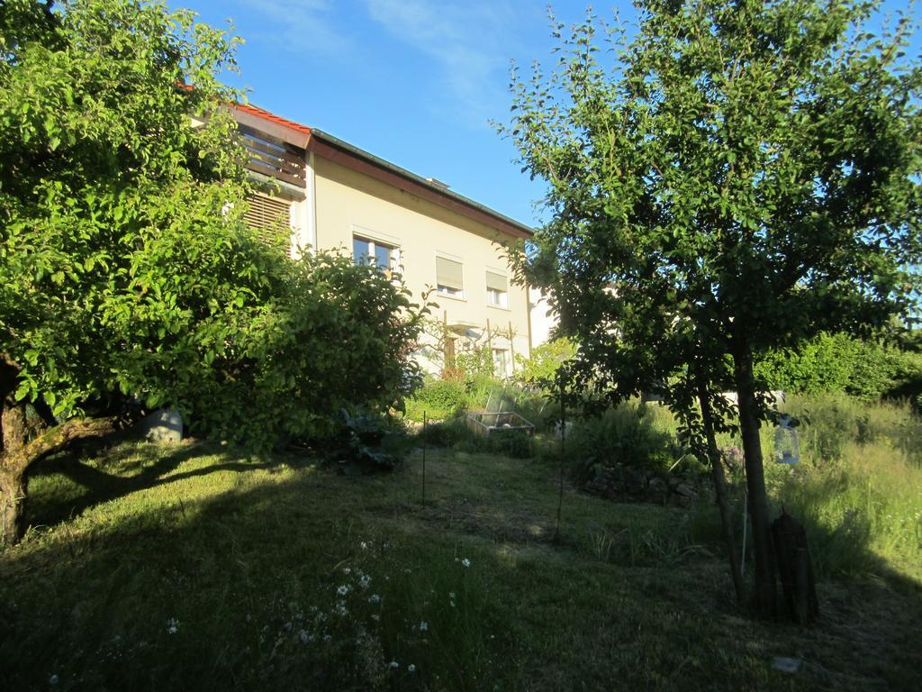 Bnb Moenthal Im Jurapark Екстериор снимка