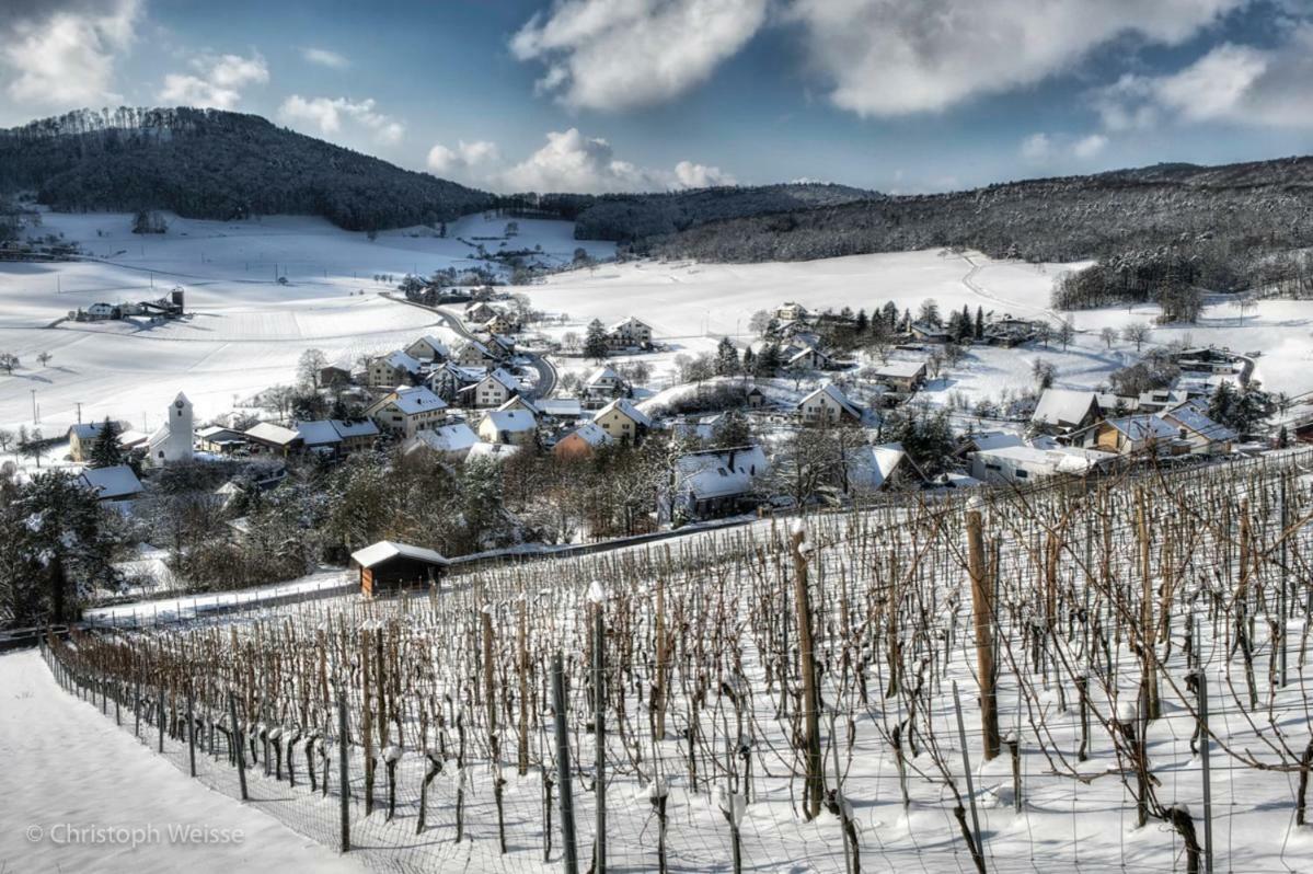 Bnb Moenthal Im Jurapark Екстериор снимка